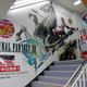 Illustration for article titled Japan Comes Out For Final Fantasy XIII In Droves